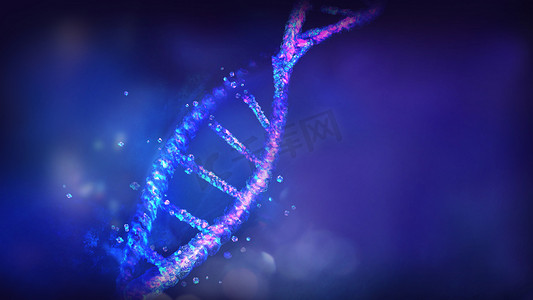 DNA 双螺旋开始在蓝色背景上衰变，3D 渲染。
