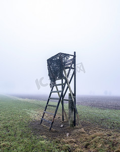 雾蒙蒙的冬日，在荷兰乌得勒支附近的绿色冬季田野上打猎的高座