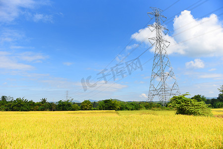 高压岗位、高压塔天空蔚蓝背景、电杆和输电线路反对有黄稻田的农村