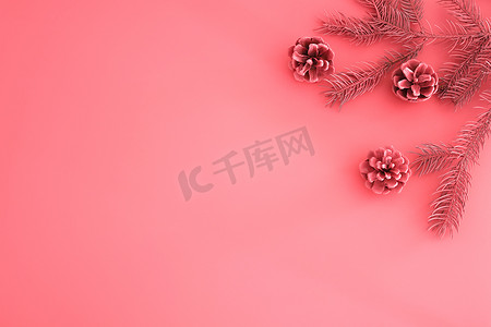 免费圣诞摄影照片_粉红色的圣诞作文。