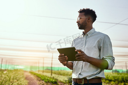 农产品订单摄影照片_思考农民用数字平板电脑检查可持续农业增长、进展或准备技术农产品出口订单。