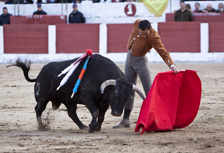 西班牙斗牛士曼努埃尔·耶稣“El Cid”于2010年3月14日在西班牙哈恩省利纳雷斯举行的斗牛比赛中进行斗牛