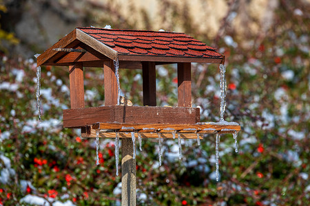 冰雪覆盖的冬季花园中的喂鸟器