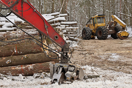 中秋节动图摄影照片_原木或伐木集材机和转向节动臂装载机，带有新鲜收获和堆放的原木