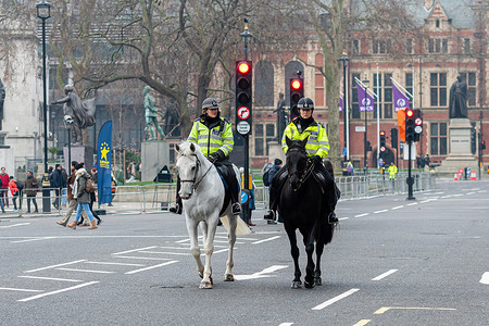 威斯敏斯特教堂附近街道上的骑马女警官