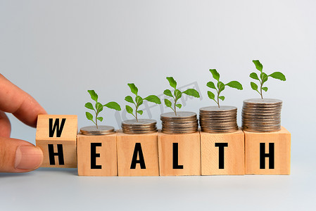 手持木立方体块财富和健康，桌上有硬币和树。商业财务省钱财富保险和医疗保健概念。