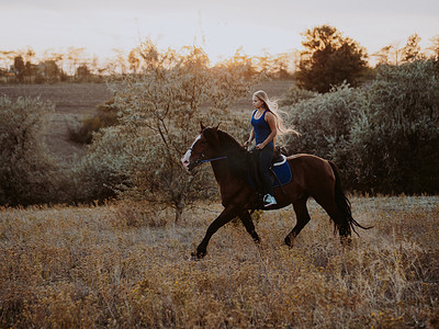 秋天，漂亮的女骑士在田野上骑着黑马。