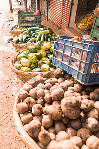 Xanthosoma、黄瓜、佛手瓜和柠檬在篮子里在 Bluefields 码头市场出售