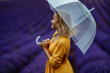 雨天，薰衣草田里的中年妇女打着伞散步，享受香薰。