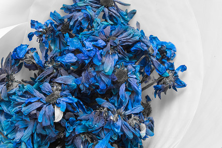 干花植物摄影照片_白色背景下的蓝色干矢车菊花死干植物的性质