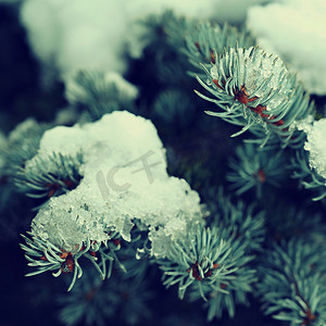 环境丰富摄影照片_冬天自然丰富多彩的背景。