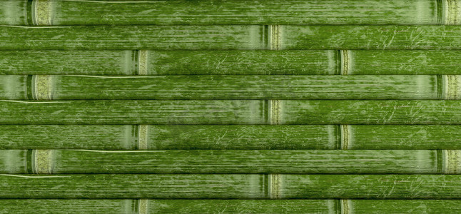 绿色竹栅栏背景。