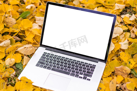 立秋广告摄影照片_露台上的空白屏幕笔记本电脑，拥有美丽的秋色红黄枫叶背景，用于展示展示、营销、广告概念的复制空间