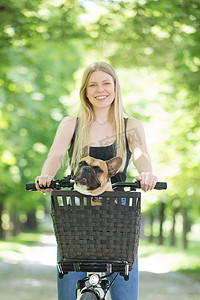 骑行背景摄影照片_法国斗牛犬在城市公园的自行车篮中享受骑行