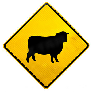 马路背景摄影照片_注意羊过马路标志