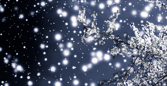 圣诞、新年黑色花卉背景、节日贺卡设计、花树和雪花作为奢华美容品牌的冬季促销背景