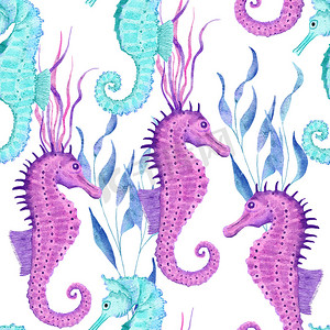 水彩手绘无缝图案与水下海洋航海动物贝壳鱼。