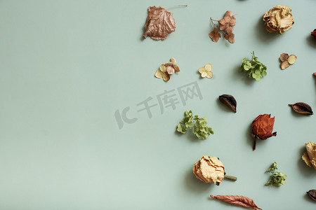 干花植物摄影照片_秋天的构图平铺着柔和的绿色背景上干植物的图案。