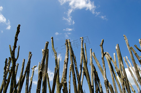 蓝色多云天空上树枝制成的围栏