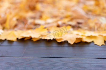立秋广告摄影照片_空木桌自然散景背景与秋黄色枫叶寄宿生模板模型用于展示产品复制空间