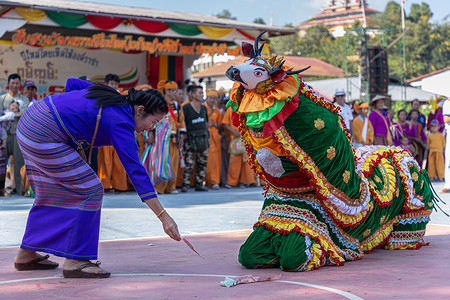 掸族或傣族（居住在缅甸和泰国部分地区的族群）身着部落服饰在掸族新年表演本土舞蹈