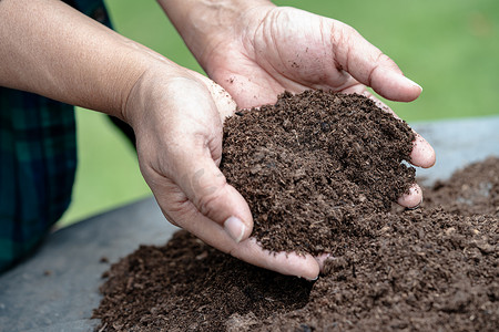手持泥炭苔有机质改善农业有机植物生长的土壤，生态概念。