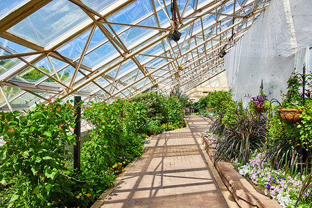 恩和摄影照片_温室步道和花园的玻璃屋顶