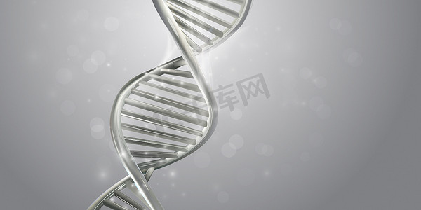 双胞胎dna摄影照片_浅灰色的 DNA 双螺旋。