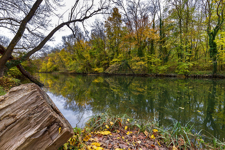 淡黄摄影照片_森林中一条河流的惊人秋景，典型的秋色淡黄