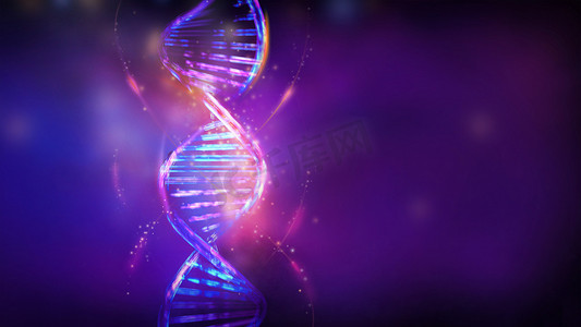 双胞胎dna摄影照片_紫蓝色的发光 DNA 双螺旋，3D 渲染。