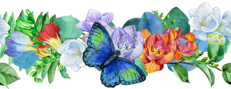 蝴蝶边框摄影照片_无缝花卉边框与蓝色蝴蝶和白色背景上的小苍兰