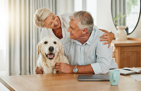 爱、宠物和带着狗的年长夫妇在家里放松、玩耍、一起度过美好时光。
