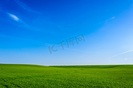 乌克兰绿色的麦田，蓝天和阳光，白云。