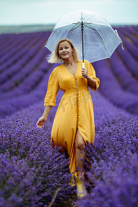 雨天，薰衣草田里的中年妇女打着伞散步，享受香薰。