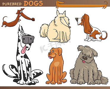 狗品种卡通套