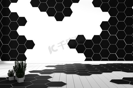 六边形瓷砖颜色黑白硬木地板 - 最小。 