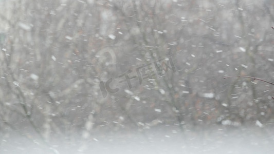 飘落摄影照片_白色的雪花飘落在冬天，寒冷的圣诞雪花。