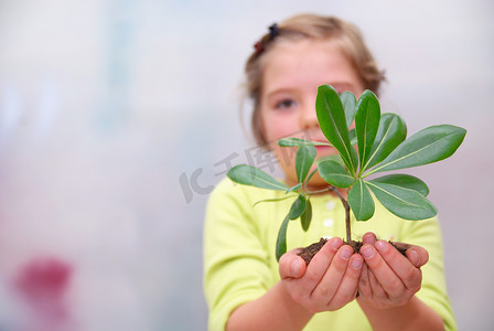 拿着小植物的小女孩