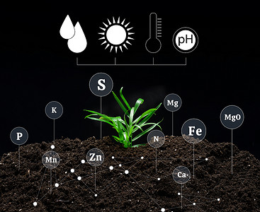 培育钻石摄影照片_农业植物种植过程中的土壤质量控制、矿物质施肥。