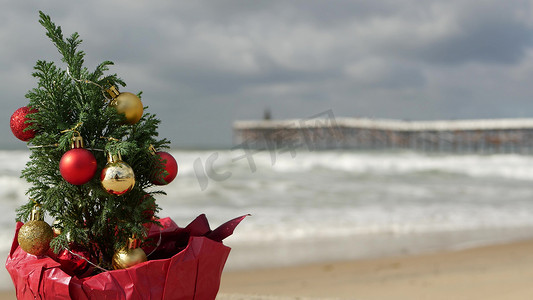 沙滩上的圣诞树，海岸上的新年，加利福尼亚州的圣诞节。