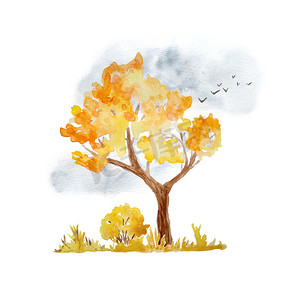 秋天的落叶手绘摄影照片_水彩手绘插图与橙黄色秋天秋天高大的树木，灌木丛的天空和飞翔的鸟儿。