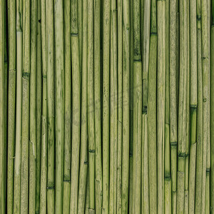 背景的芦苇或竹子纹理