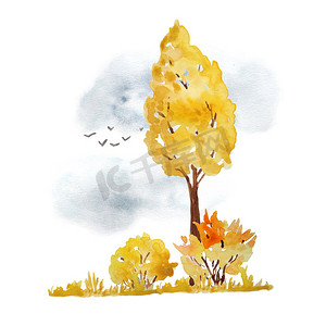 秋天的落叶手绘摄影照片_水彩手绘插图与橙黄色秋天的树、灌木、天空和飞翔的鸟儿。