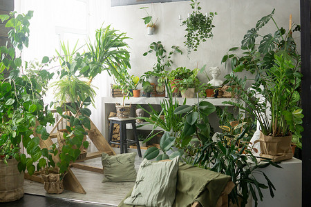 室内的一个片段，里面有各种室内植物和石膏雕塑。