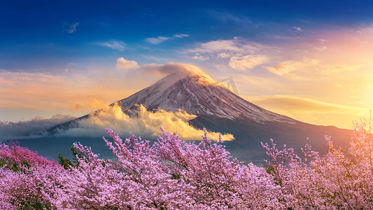 节日炮彩摄影照片_日本春天的富士山和樱花。