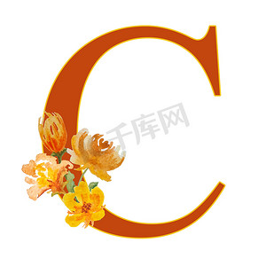 字体字母 C 排版字母表。