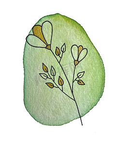 涂鸦摄影照片_涂鸦分支花卉植物群背景水彩绿点。