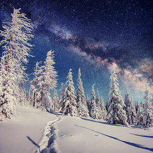 冬季雪夜的星空。