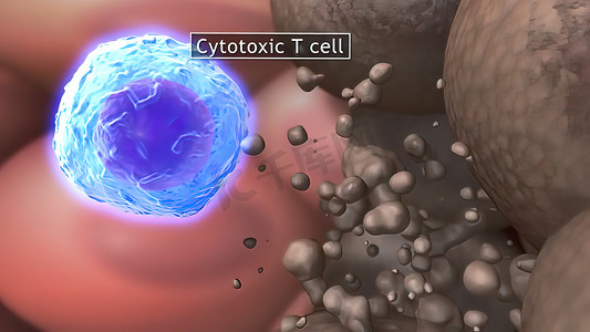 胞嘧啶 T 细胞清除肿瘤细胞
