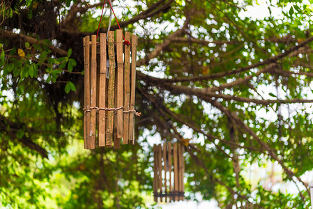 泰国海滨一棵高树上挂着木灯笼